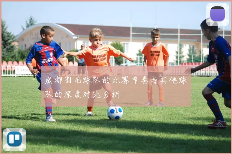 成都羽毛球队的比赛节奏与其他球队的深度对比分析