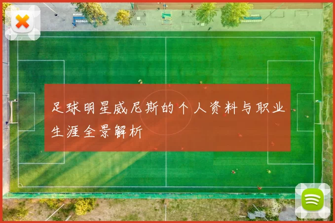 足球明星威尼斯的个人资料与职业生涯全景解析