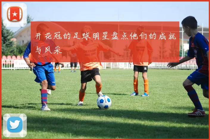 开花冠的足球明星盘点他们的成就与风采
