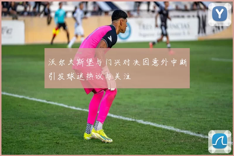 沃尔夫斯堡与门兴对决因意外中断引发球迷热议与关注