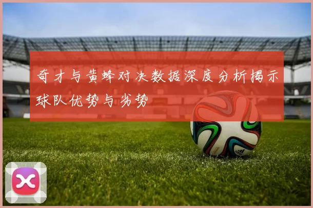 奇才与黄蜂对决数据深度分析揭示球队优势与劣势