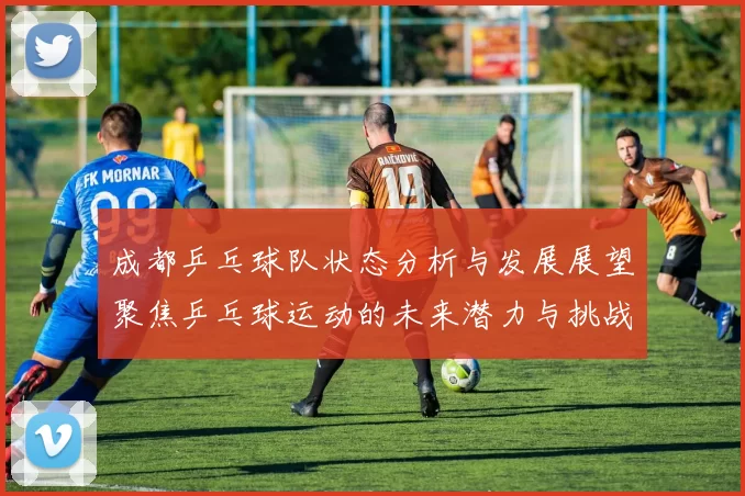 成都乒乓球队状态分析与发展展望聚焦乒乓球运动的未来潜力与挑战