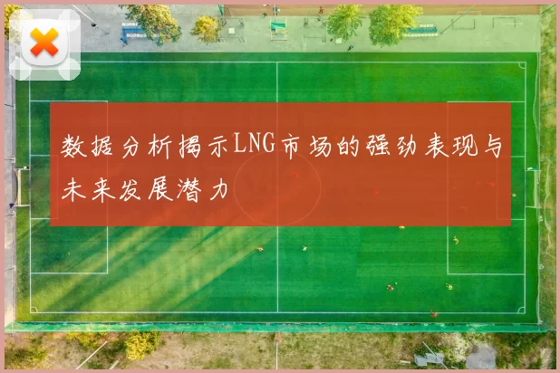 数据分析揭示LNG市场的强劲表现与未来发展潜力