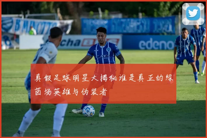 真假足球明星大揭秘谁是真正的绿茵场英雄与伪装者