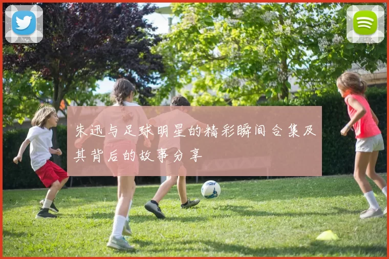 朱迅与足球明星的精彩瞬间合集及其背后的故事分享