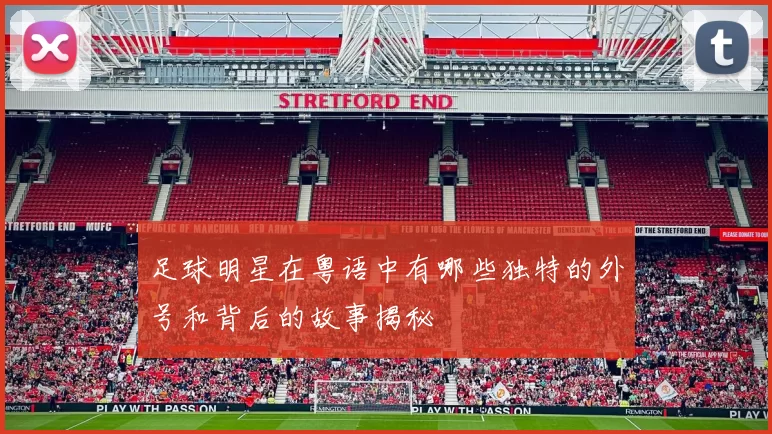 足球明星在粤语中有哪些独特的外号和背后的故事揭秘